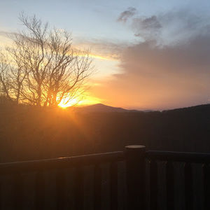 Meet your Posher, Zoey